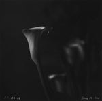 Rolleiflex B/W Lily Photo