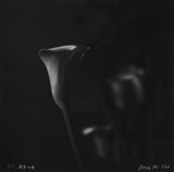 Rolleiflex B/W Lily Photo