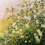 Romancing the Rose