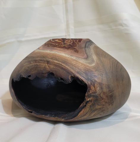 Siberian Elm Hollow Form
