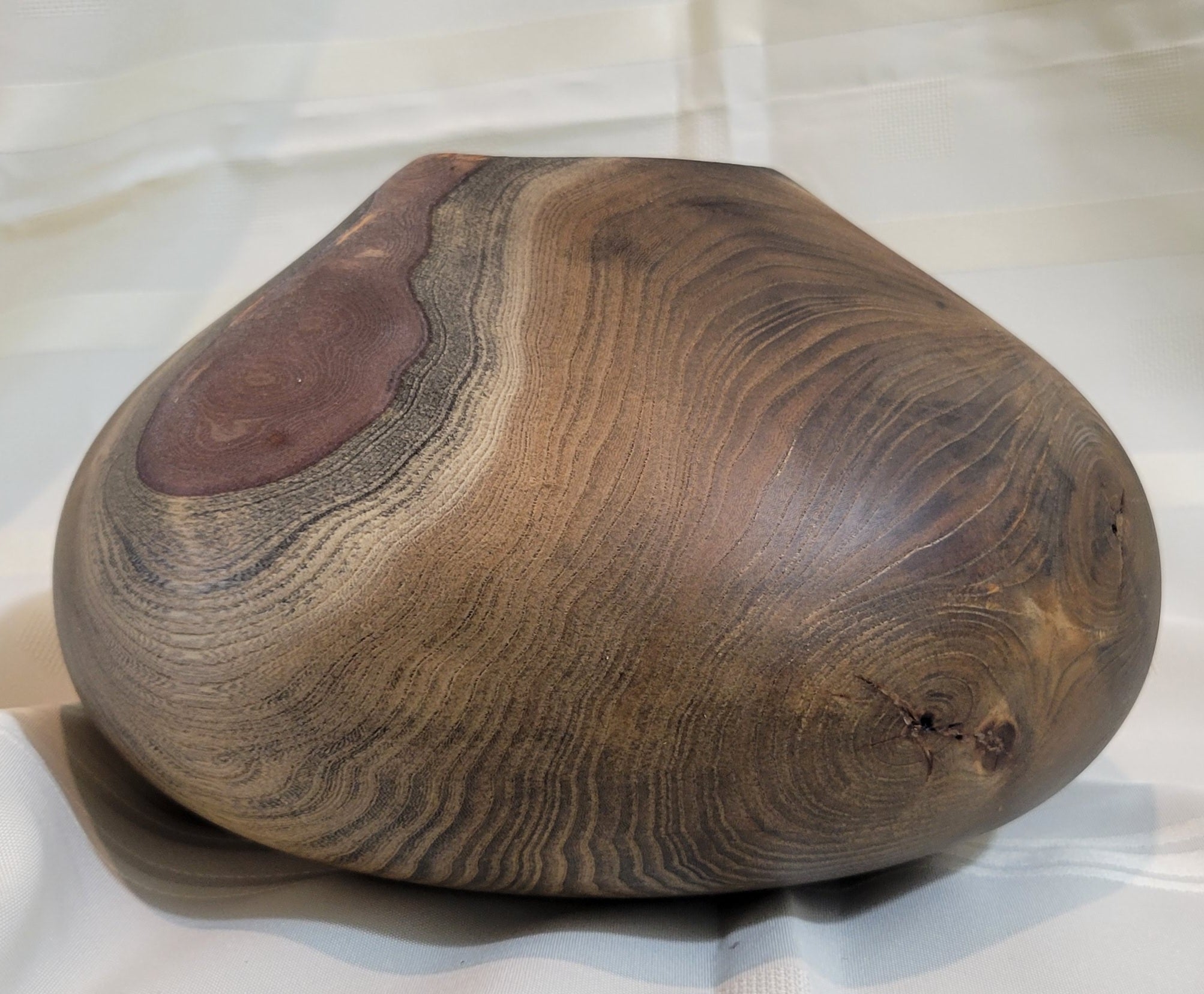 Siberian Elm Hollow Form