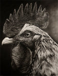 Sir Crowford
