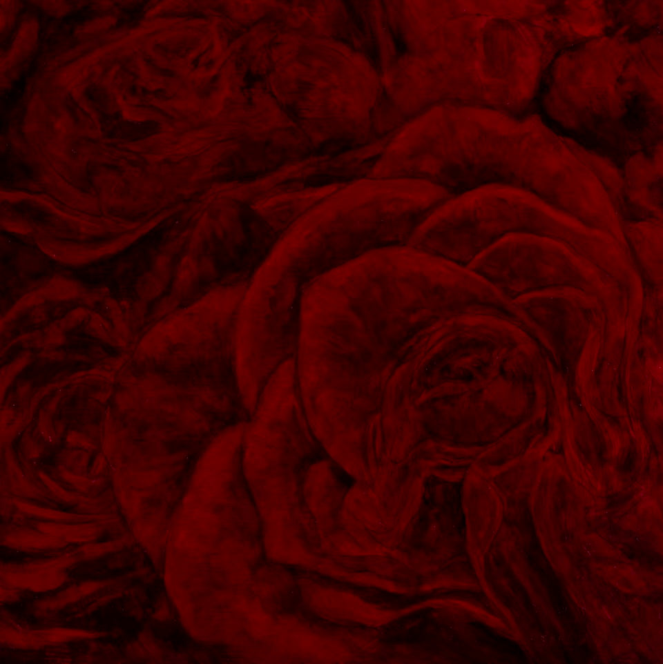 Red Roses #1