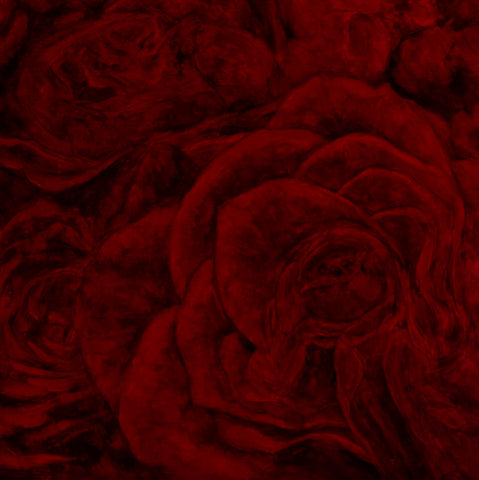 Red Roses #1