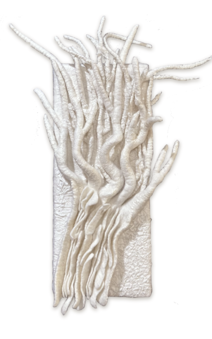 Study 4: Tree Roots