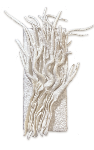 Study 4: Tree Roots