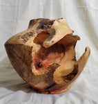 Large Box Elder Vessel