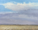 Late Autumn Field