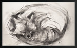 Sleeping Fox