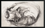 Sleeping Fox