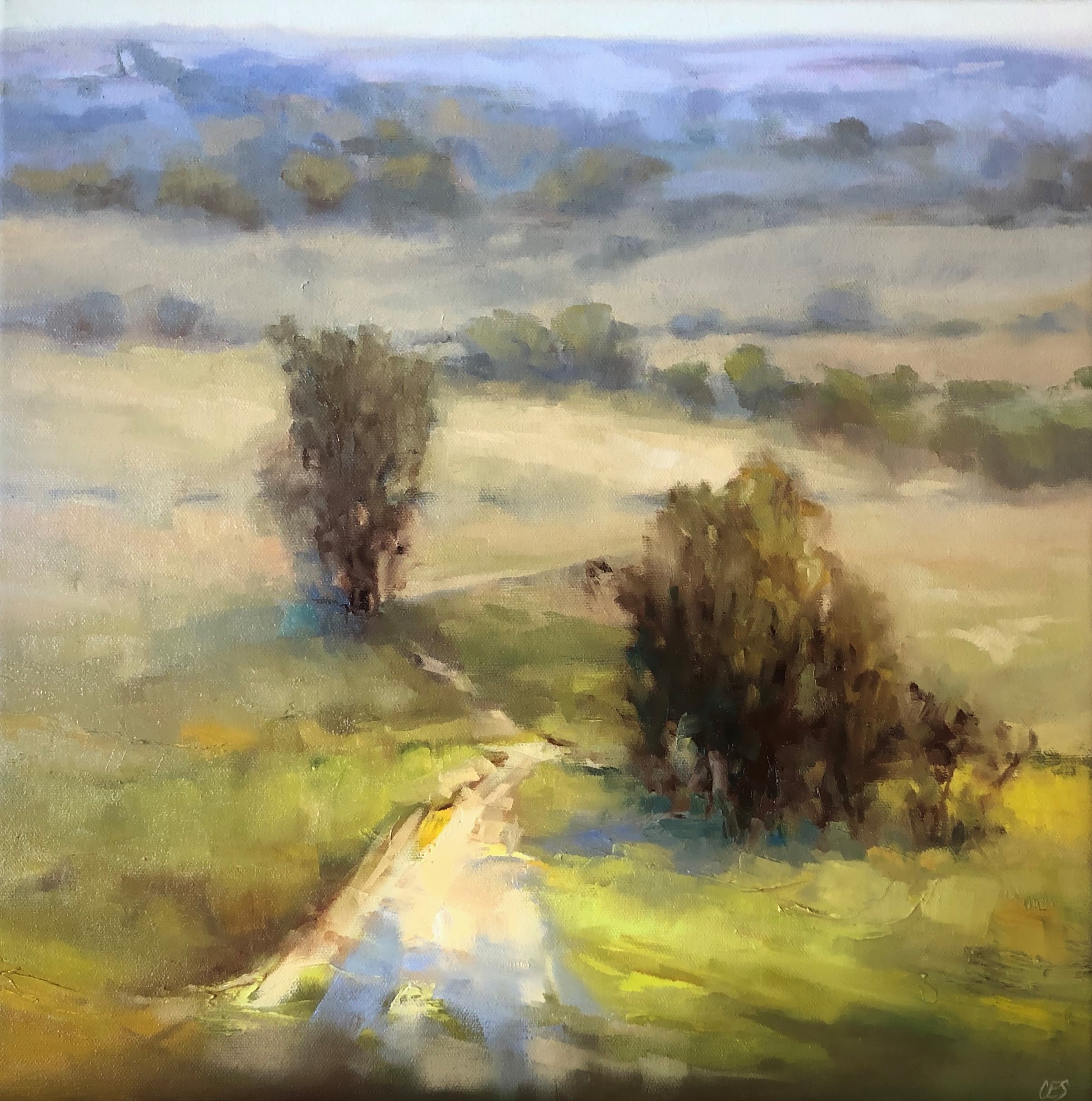 View from the Top of the Hill