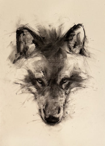Wolf Study