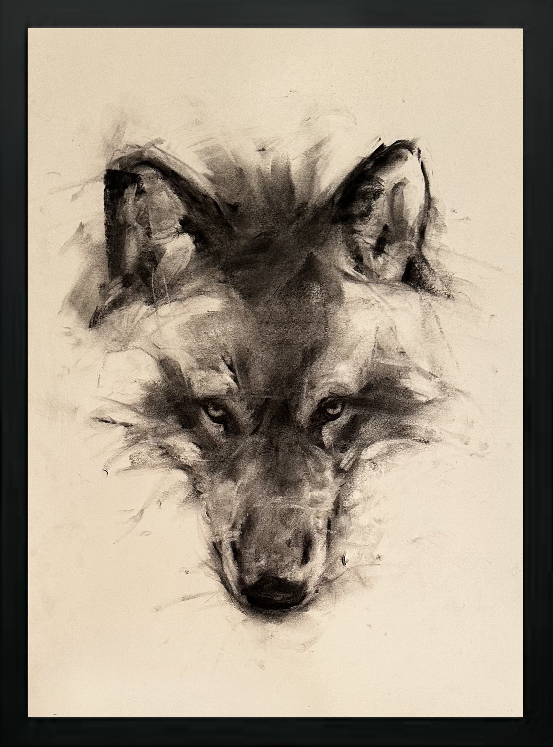 Wolf Study