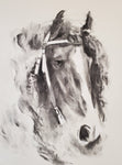Equus