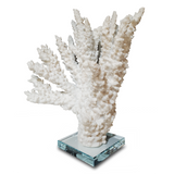 Coral Sculpture