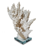 Coral Sculpture