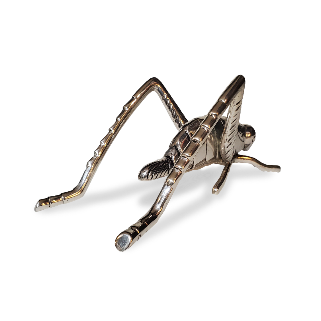 Grasshopper