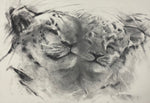 Affection