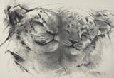 Affection