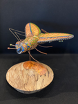 Don't Bug Me