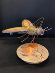 Don't Bug Me