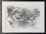 Affection