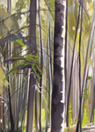 The Whispering Woods