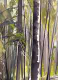 The Whispering Woods
