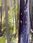 The Whispering Woods