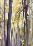 The Whispering Woods