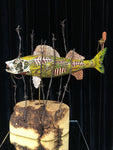 Walleye Circa 2525