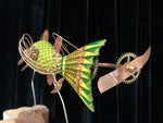 Walleye Circa 2525