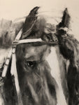 Equus