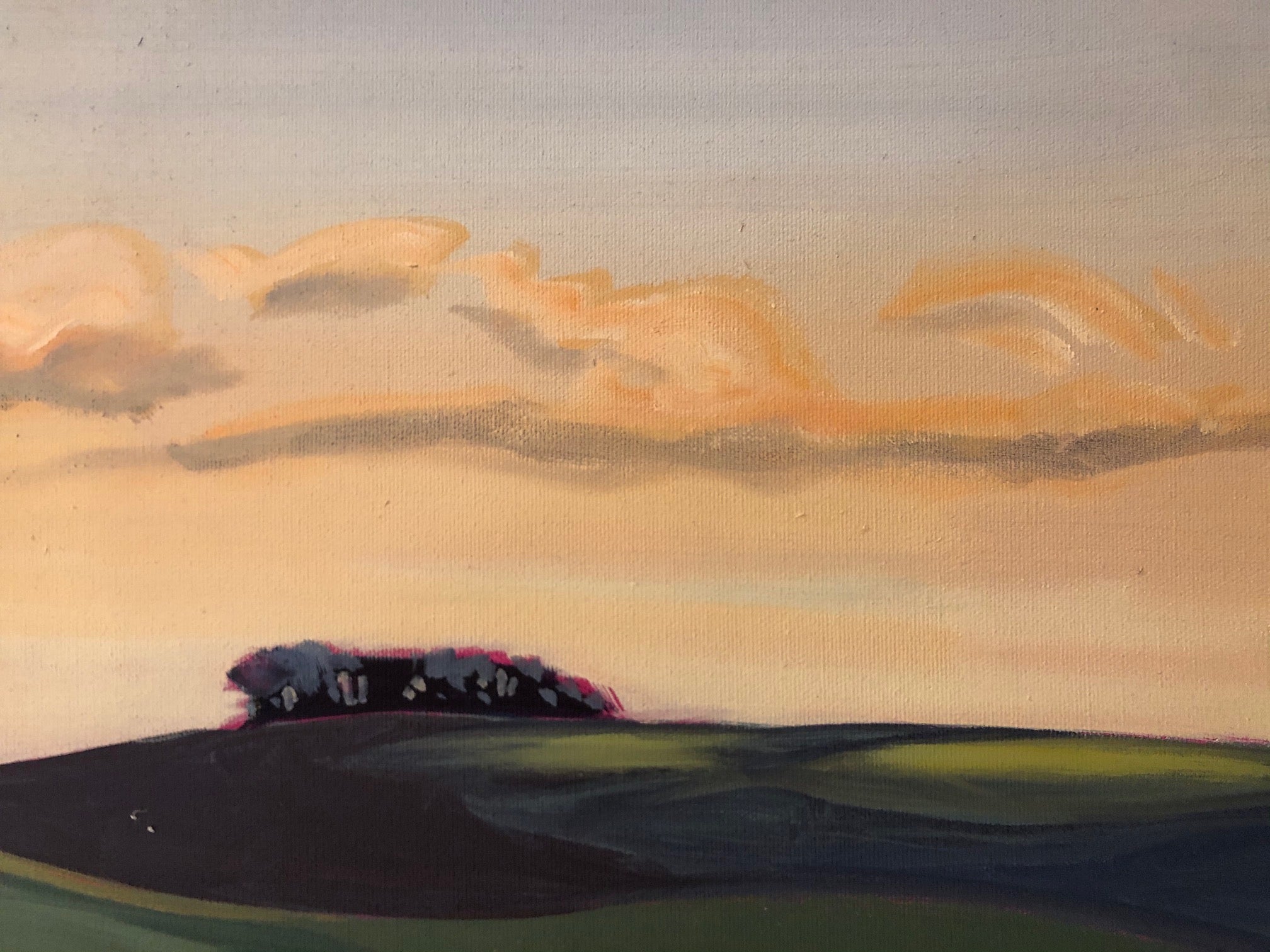 Cypress Sunrise