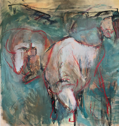 White Cows