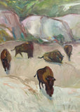 Foothills