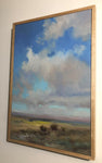 High Over Prairie Grasses